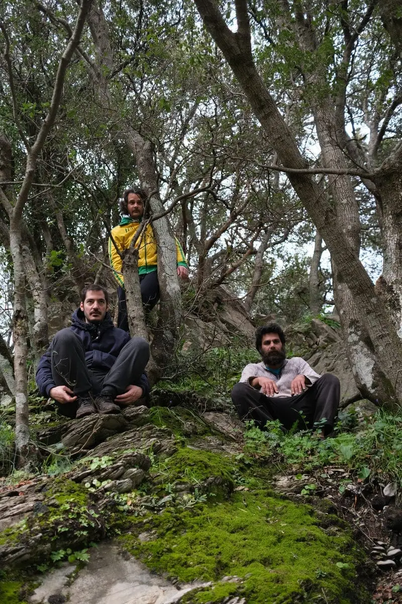 Three members of Ouranopithecus standing among trees
