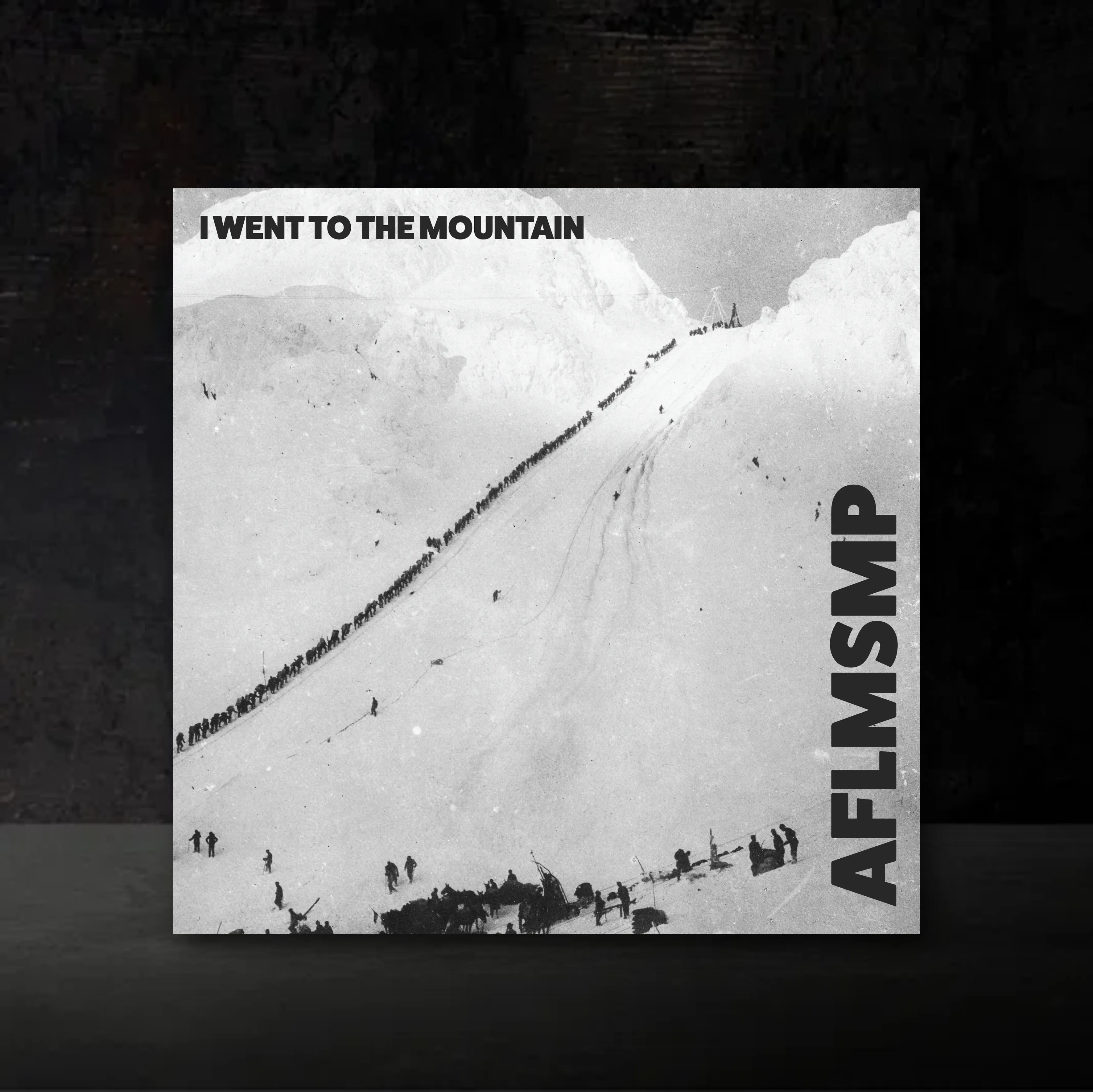 I went to the mountain Vinyl front mockup