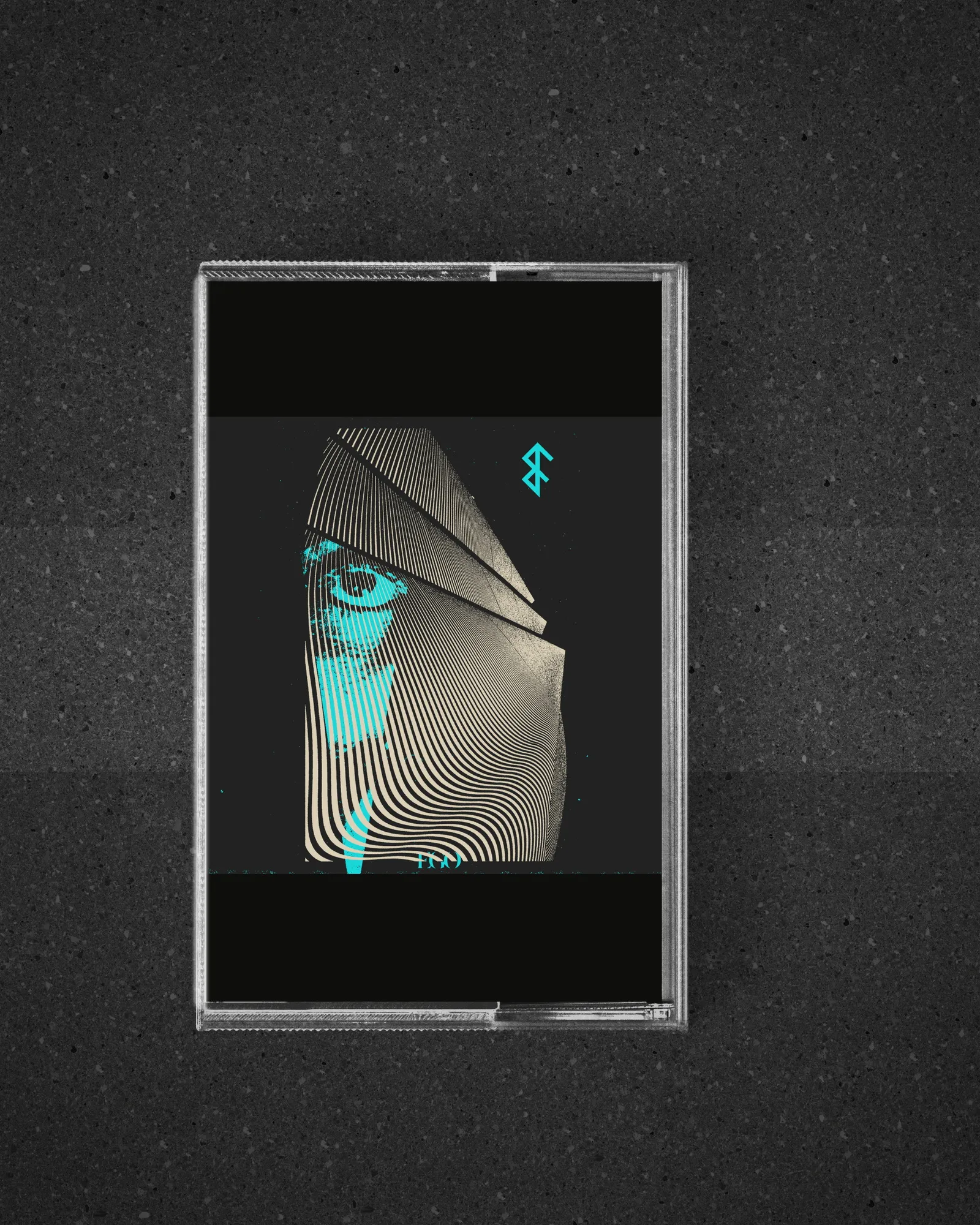 Ego cassette case artwork mockup
