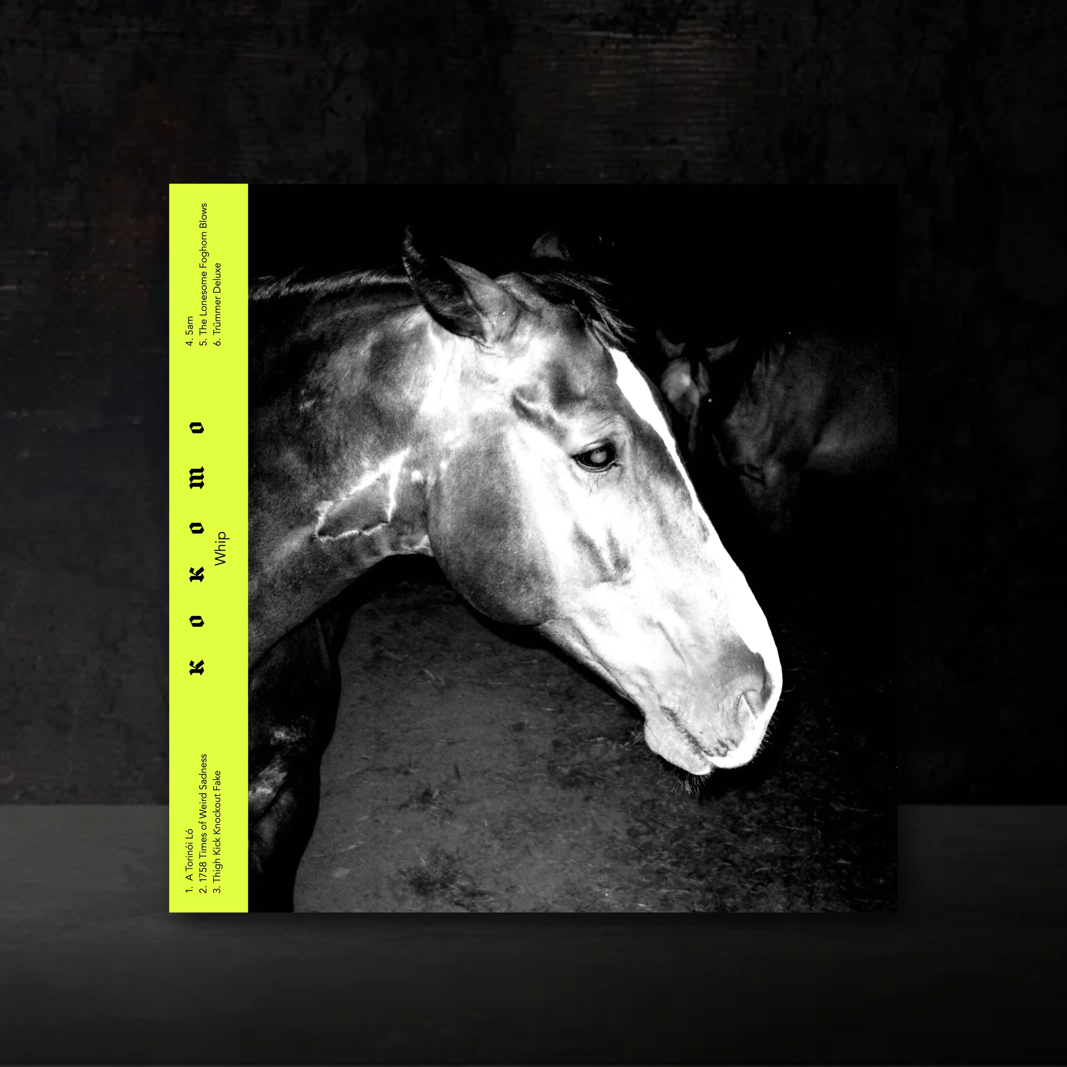 Whip Vinyl front mockup