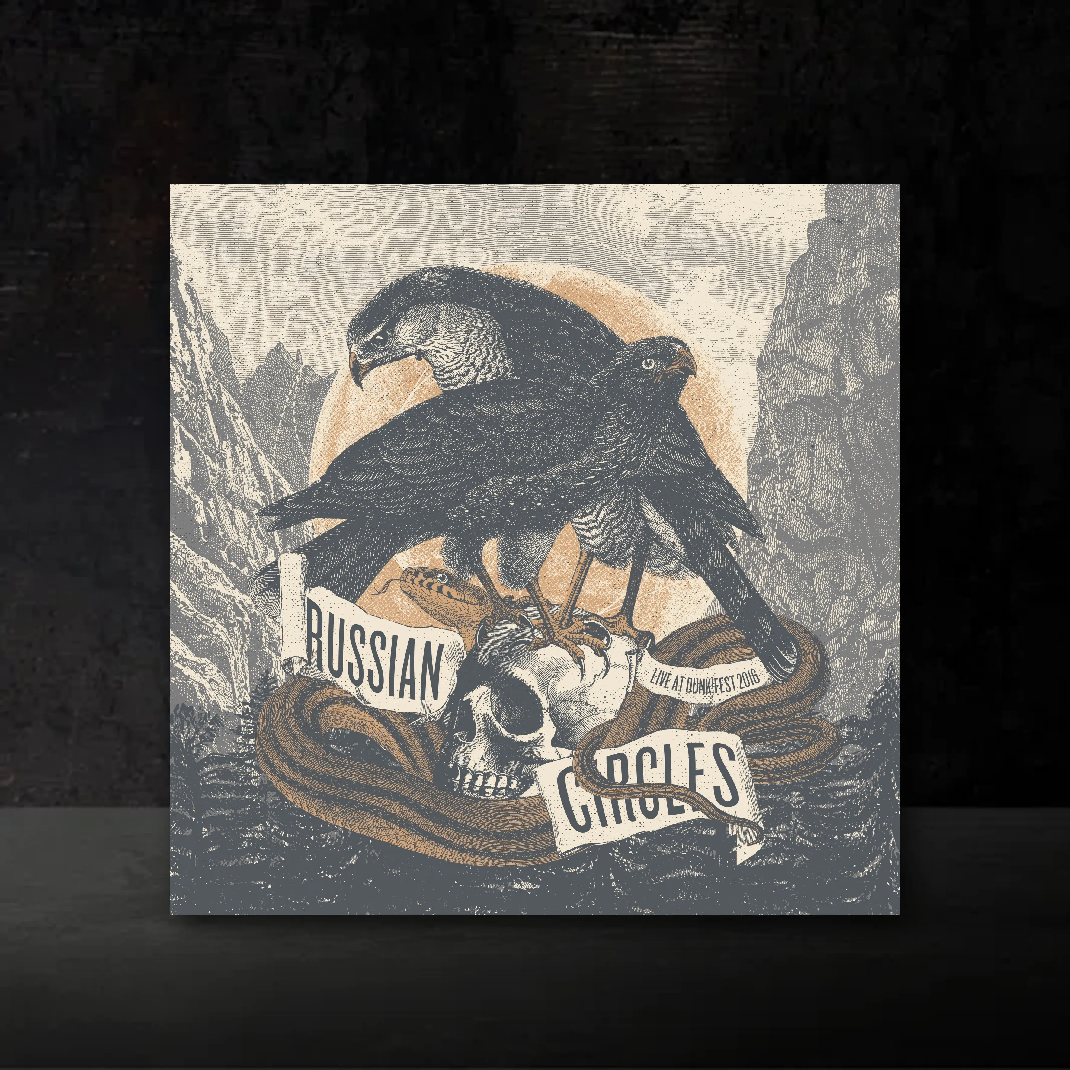 Live at Dunk! Fest 2016 Vinyl front mockup
