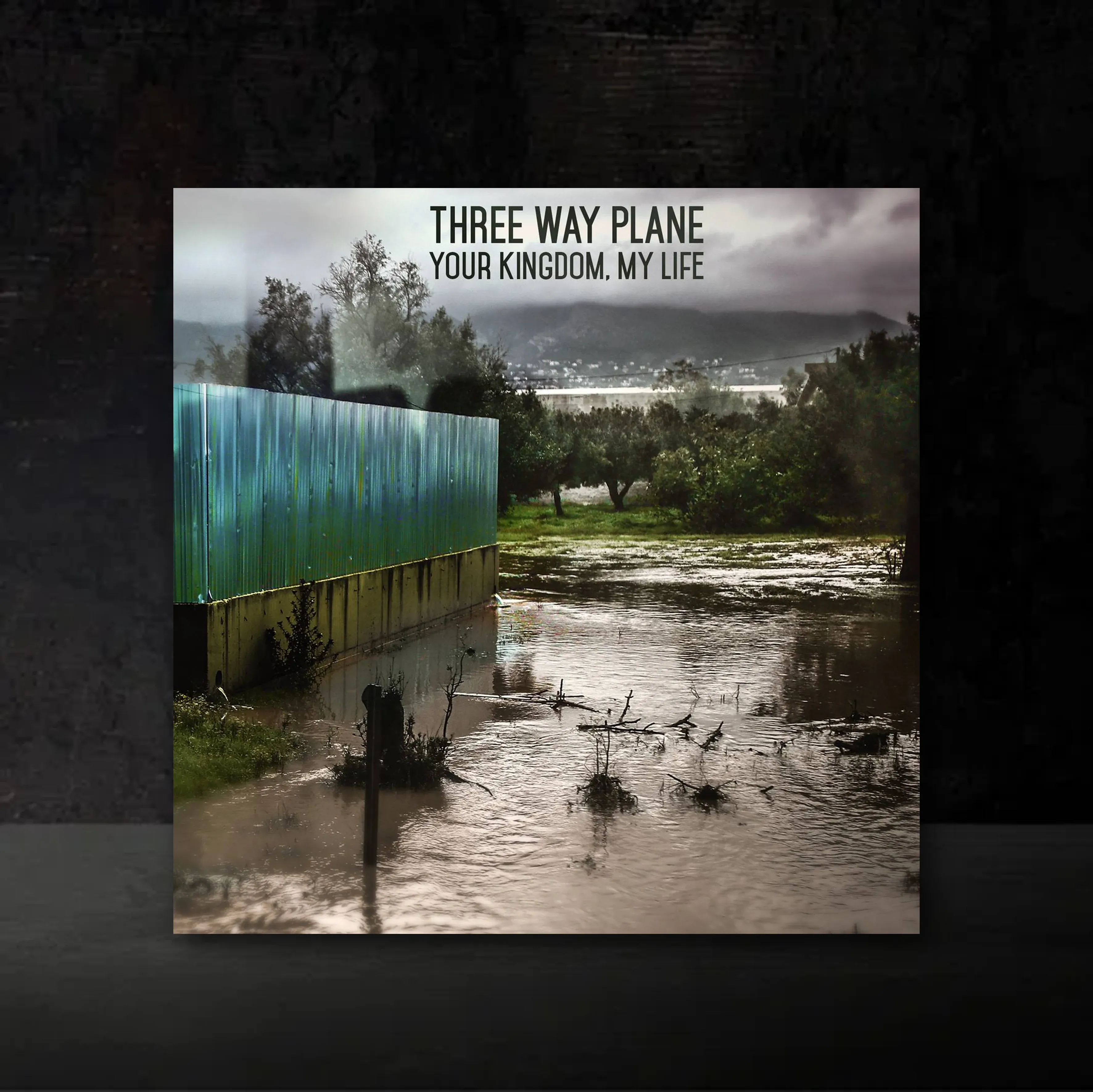 Your Kingdom, my life Vinyl front mockup